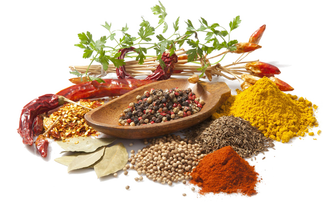 organic food exporter India Smart Link International